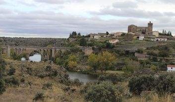 Ledesma image