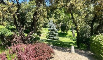 21. The Perennial Garden image