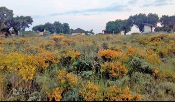 Los Territorios del Juego image