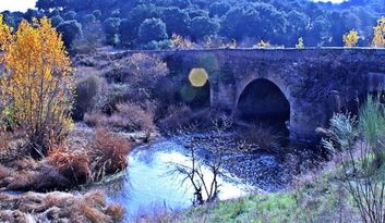 Gallegos de Argañán. Nature image