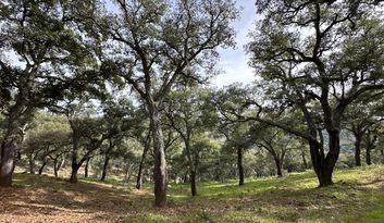 Eco-Challenge 5: Quiz image