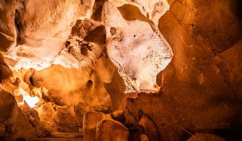 Sanctuary of Noctiluca image