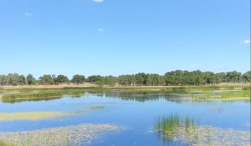 Laguna Rincón de la Vega image