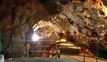 The Virgin chamber image