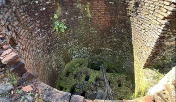 Eco-Reto 11: ¿Sabías que...? image