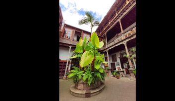 Der Innenhof des Hauses image