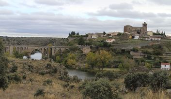 Ledesma image