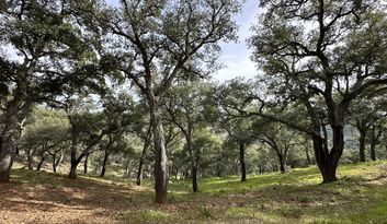 Eco-Challenge 5: Did you know? image