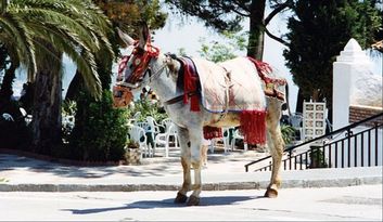 Mijas: Sea and Mountain, Unique Destination image