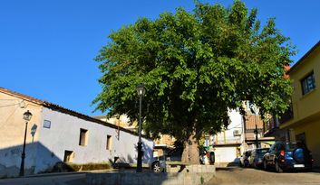 6. The Machacalinos neighborhood image