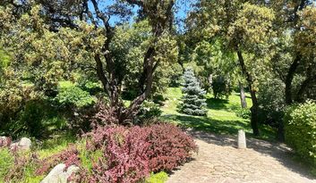 21. El Jardín de Vivaces image