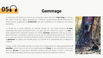 5. Le Gemmage image
