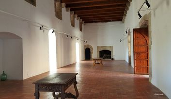 3. Hall of the fireplaces (great hall)  image