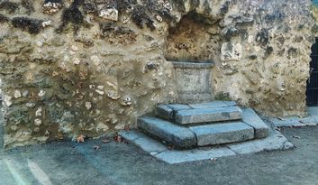 Fuente de la Salud image
