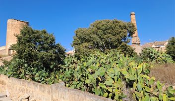 Sa Teulera: la cerámica como arte cotidiano  image