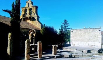 Monleras image