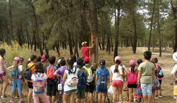Camping El Cantosal image