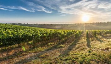 Vila Nova. Quintas image