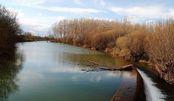 Morales de Rey. Intro image