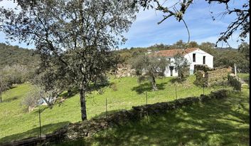 Welcome to NSJ! The NSJ Project image