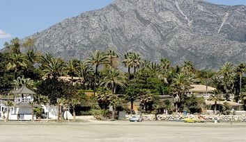 Introducción image