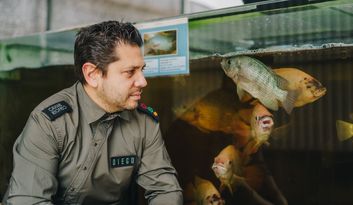 Málaga. Uit eten image