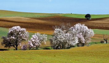 Sanzoles.Intro image