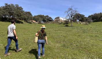 Eco-Reto 1: Quiz image