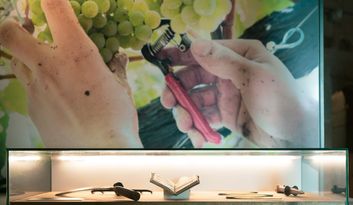 SECTION EIGHT. GRAFTING AND PRUNING TECHNIQUES. image