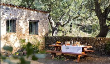 Eco-Reto 7: ¿Sabías que...? image