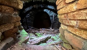 Eco-Challenge 7: Quiz image