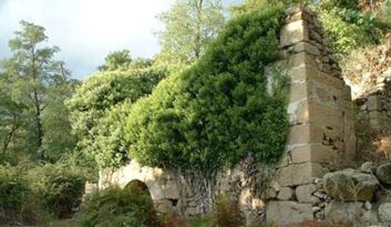 19. The small dam, the bridge of nails and the old mills image