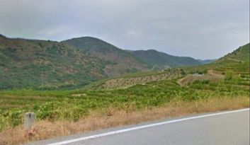 Freixo Estrada image