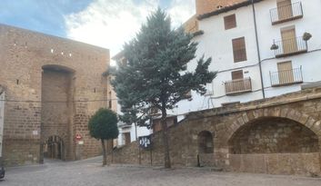 El portal de Alcalá image