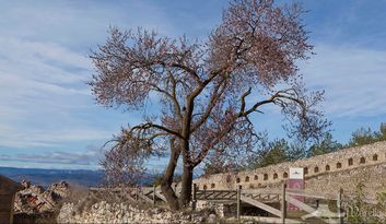 2. Generalidades (Junto a la estatua de Cabrera) image