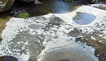 Carbellino. Nature image