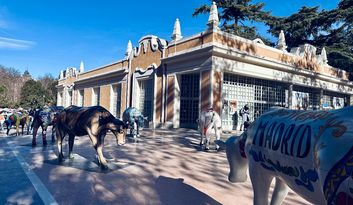 6. Casa de Vacas image