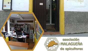 Bienvenida image