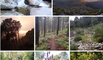 11. Nature in La Adrada image