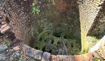 Eco-Challenge 7: Did you know...? image