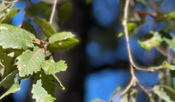 Eco-Reto 3: ¿Sabías que...? image