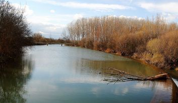 Morales de Rey. Intro image