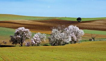 Sanzoles.Intro image