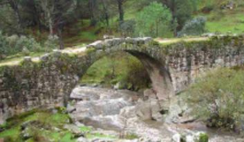 13.  Mocha bridge image