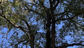 Eco-Reto 3: Quiz image