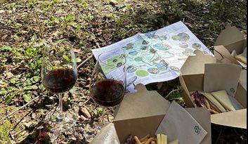 Demuestra tu espíritu Eco image