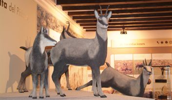 Museo del Sarrio: El único dedicado a este animal pirenaico image