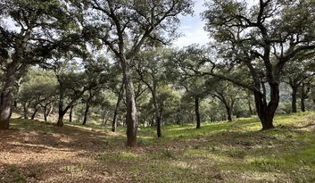 Eco-Reto 5: Quiz image