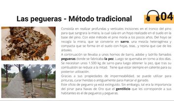 4. Las pegueras image