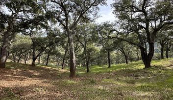 Eco-Reto 5: ¿Sabías que...? image